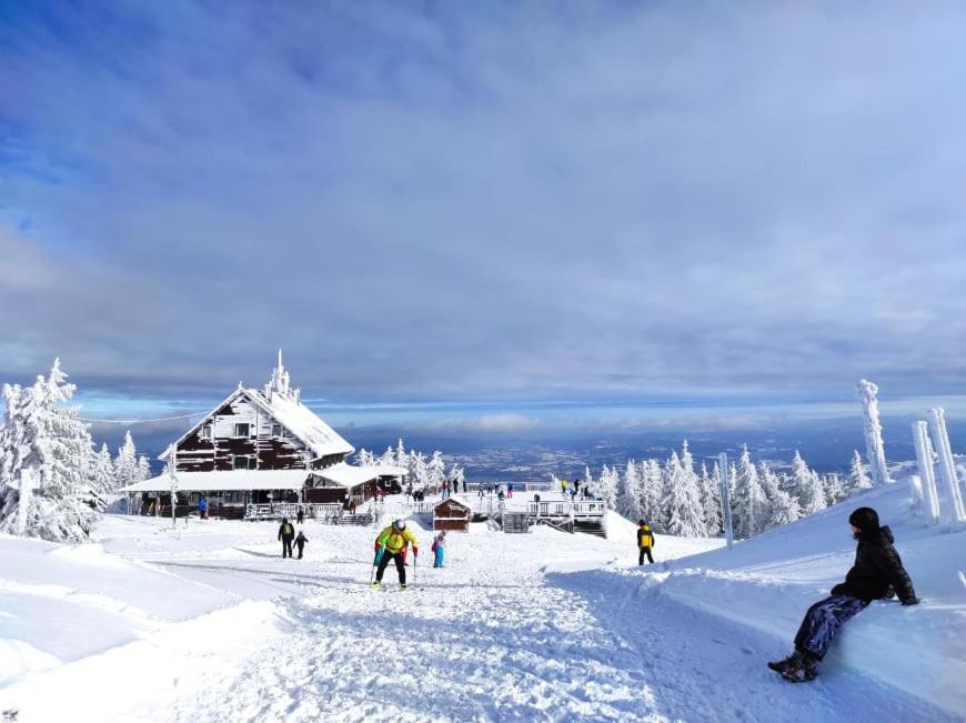 Bed and Breakfast Osrodek Wypoczynkowy Zapalenica Szczyrk Exteriér fotografie